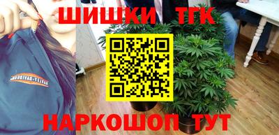 мдпв Татарск