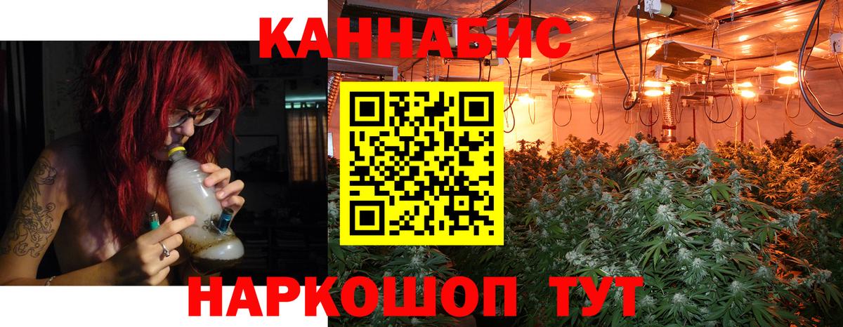 Бошки марихуана THC 21%  Вход с VPN  Лыткарино  Бошки Шишки VHQ  Шишки марихуана план  Конопля AK-47 